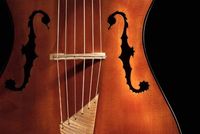 Schubert arpeggione 200 anniversary