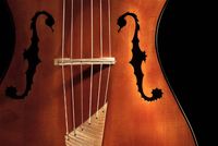 Chambre à part : arpeggione