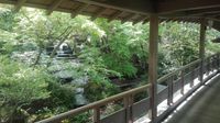 Echos du Japon