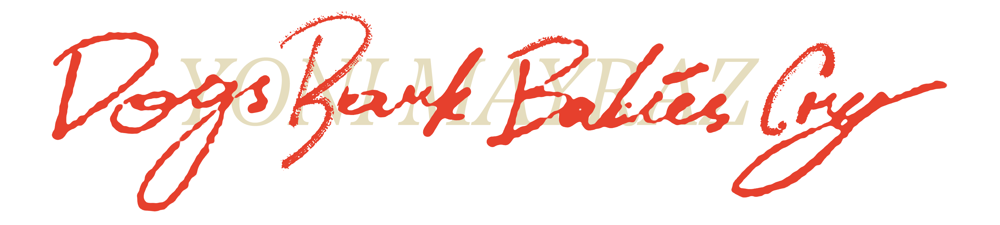 Yoni Mayraz