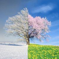 From Winter, Comes Spring by Sweet Kev and the Divinistry