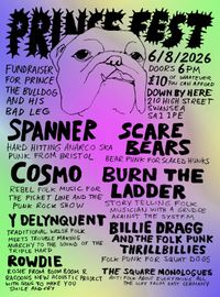 Prince Fest Fundraiser