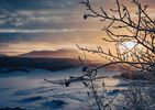 Digital Download Bundle: Music of 'In the Gloaming, In the Dawning'