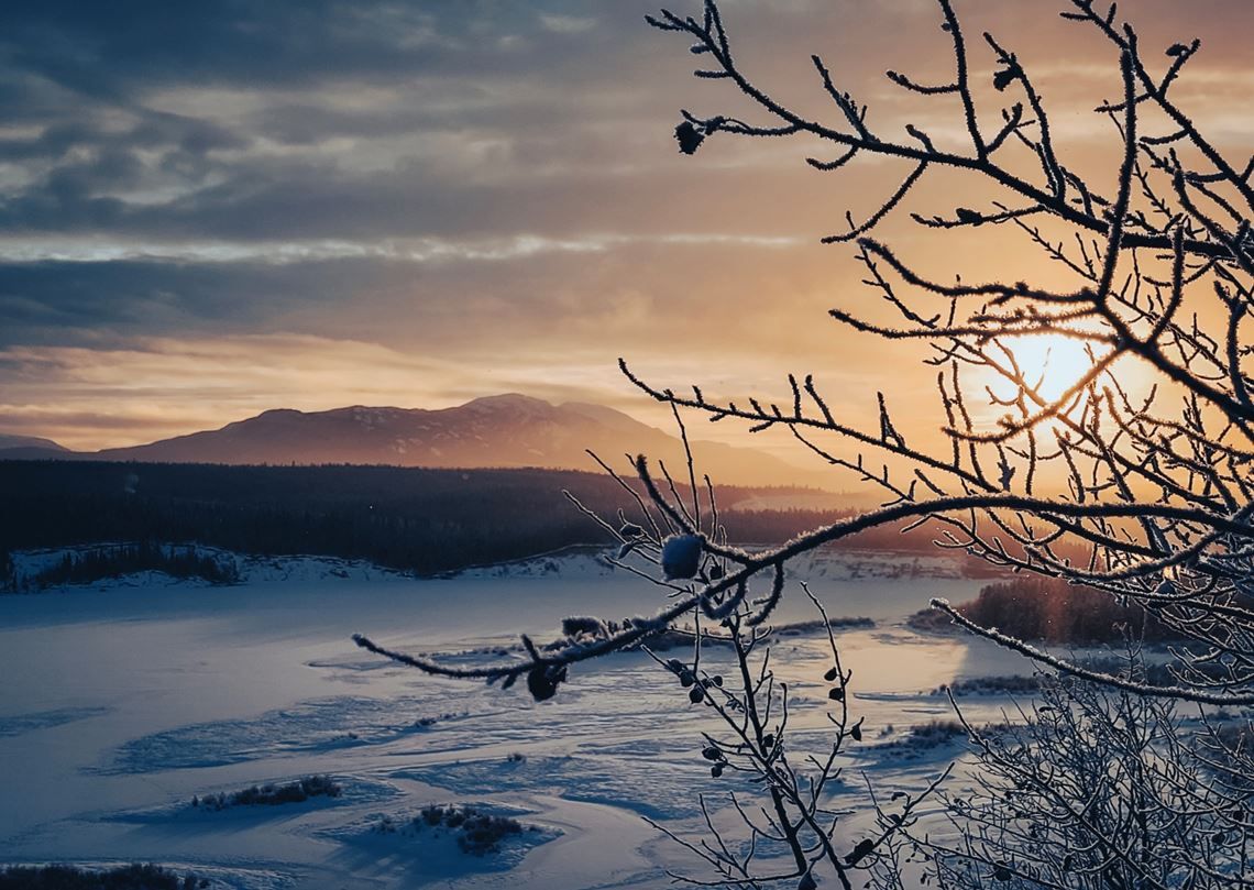 Digital Download Bundle: Music of 'In the Gloaming, In the Dawning'