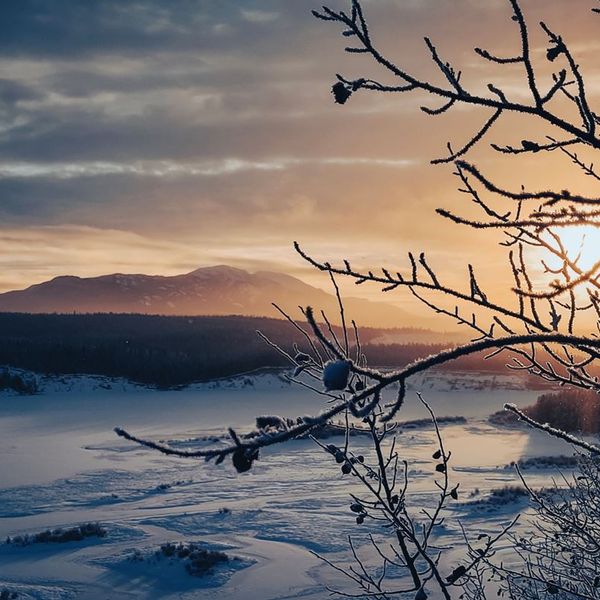 Digital Download Bundle: Music of 'In the Gloaming, In the Dawning'
