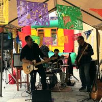 Jamie Clark Band  * Sausalito Seahorse * 7/19 *  $15 Cover