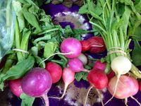 Live at Hereford Farm Market