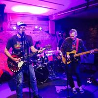 The Modelos Live at The Guilt & Co.