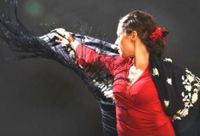 World Music - Flamenco Evening