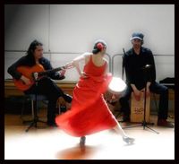 Flamenco Show 