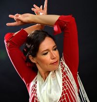 A Night of Flamenco 