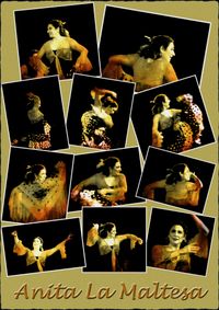 The Flamenco Show