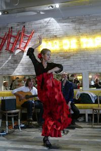 Flamenco Show