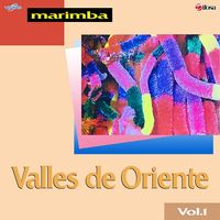 Marimba Valles de Oriente Volumen 1 de Marimba Valles de Oriente