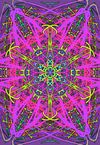 Wholesale Set of 40 Prints