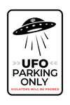 UFO's Are Real - Cece Poss Art