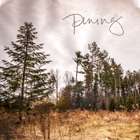 Pining by Gretchen Pleuss & Adam Reifsnyder