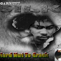 hard nut to crack by garnet silk