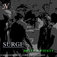 brite & fiesty reg mix by surge