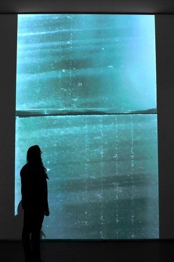 Climate Museum 88 Cores exhibit projection mapping, NYC
