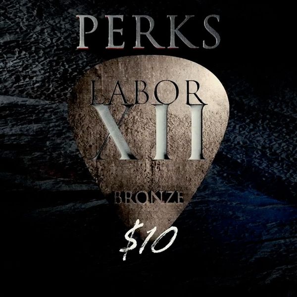 Bronze Level ($10+)
