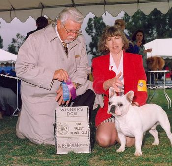 "TUG" Shown going Winners Dog.
