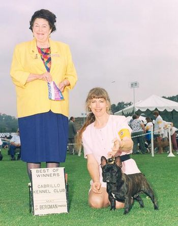 "THE BABE" Shown winning Best of Winners again. Look at that beautiful head piece!!
