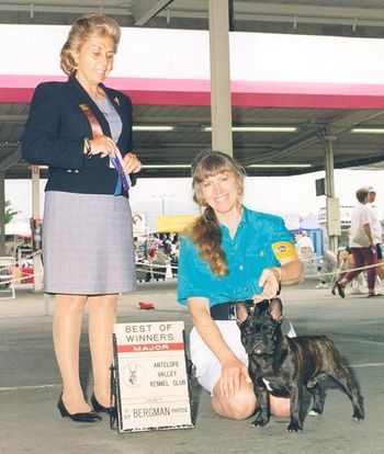 "THE BABE" Shown winning a major and Best of Winners.
