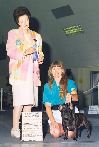 "THE BABE" Shown winning Best of Winners.
