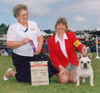 "TUGGY" Shown winning his first major and Best of Opposite Sex.
