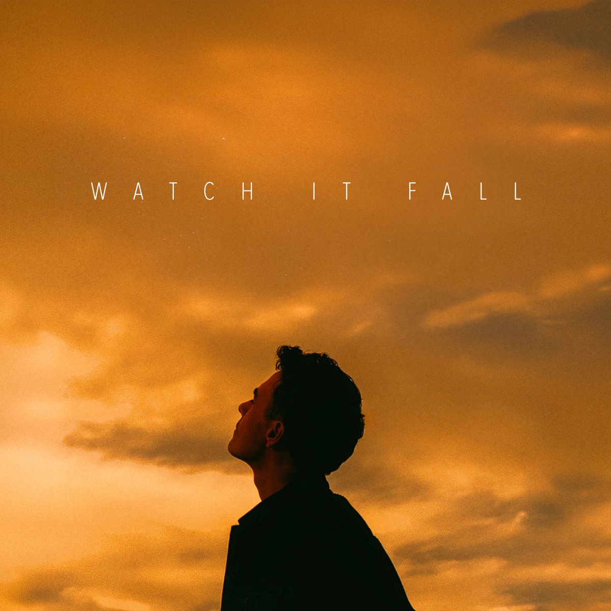 Watch It Fall - Vinyl