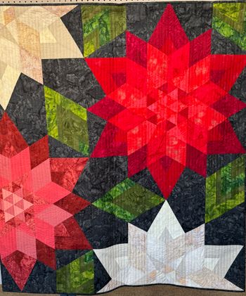 "CRIMSON" by Bonnie Northcutt - BEST MODERN QUILT
