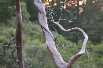 Welded Steel Sculpture by A Copper Rose Metal Art - Manzanita Trees - Used as a Wedding Chuppa. Location: Carmel, CA Point Lobos Ridge
