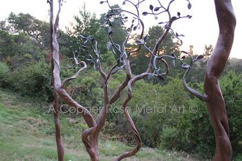 Welded Steel Sculpture by A Copper Rose Metal Art - Manzanita Trees - Used as a Wedding Chuppa. Location: Carmel, CA Point Lobos Ridge

