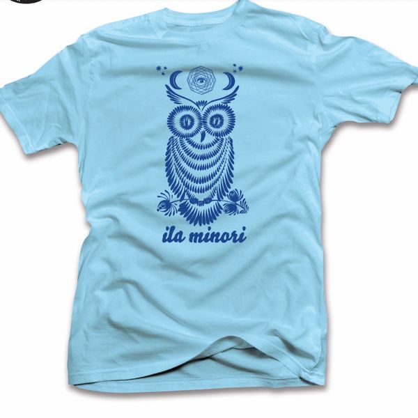 Blue Owl T-Shirts
