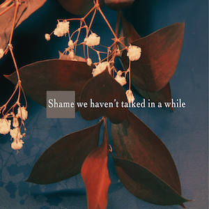 "Shame" Postcard