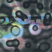Swings and Roundabouts by Fire Fly