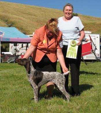 First real show,BOW, BOS, Best Puppy, Puppy group 3.
