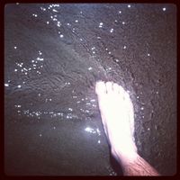 To shore (or out to sea.) (2007) by Tim Brickley