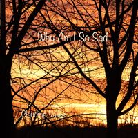 Why Am I So Sad by Claudine Vallee
