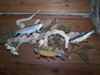 3 Trout Replica Scene
