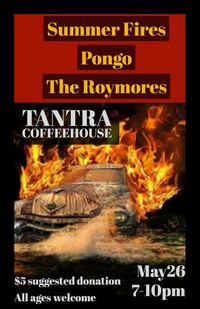 Summer Fires / Domestic Tallboys / The Roymores