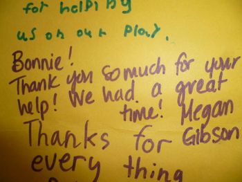 Megan Gibson, Teacher
