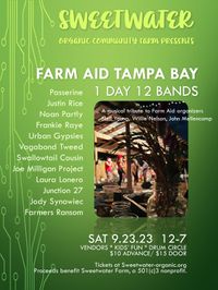 Swallowtail Cousin at Festival Farm Aid Tampa Bay