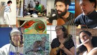 Stay-at-Home online concert #23 on Luiz Simas Music Channel on YouTube