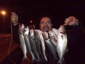 Ft. Pierce Dec 22nd 2010. Mazz catching Bluefish from a bridge. He kept a few for Christmas Eve Dinner and gave the rest away.
