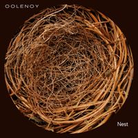 Nest by Oolenoy