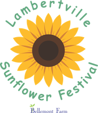 The Wild Grit (Duo) @ Sun Flower Festival