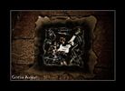 Art Works Series  "Randy Hansen #12"