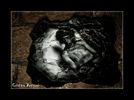 Art Works Series  "Randy Hansen #14"